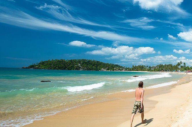 Whales Watching Mirissa Day Tour - Seafood lunch, spice gardens, and what is included