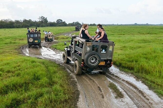 Wilpattu National Park Jeep Safari from Negombo / Waikkal (All Inclusive) - Is $152 a fair price?
