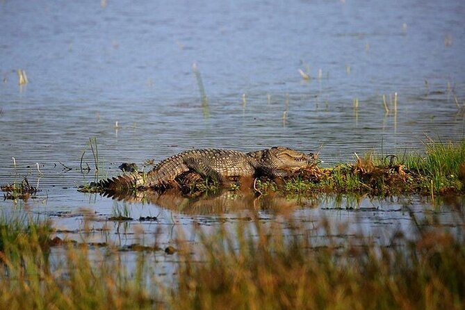 Wilpattu National Park Jeep Safari from Negombo / Waikkal (All Inclusive) - Breakfast before the park drive