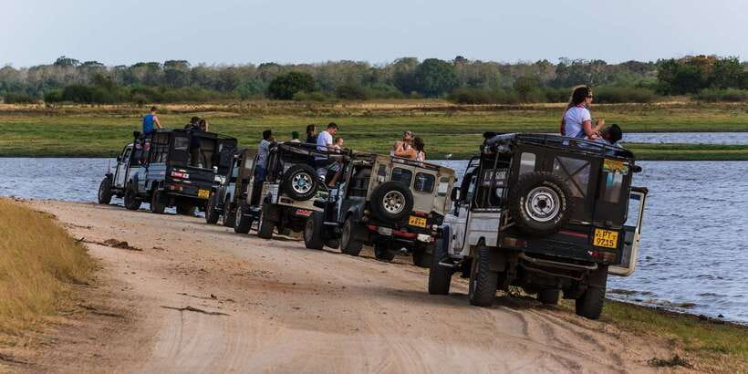 Wilpattu National Park Safari Tour from Colombo - Is the $105 price good value?