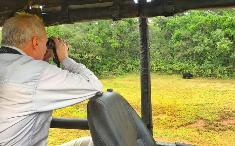 Wilpattu: Private Safari Day Trip with Lunch & Entry Fees - What you might see, from leopards to crocodiles