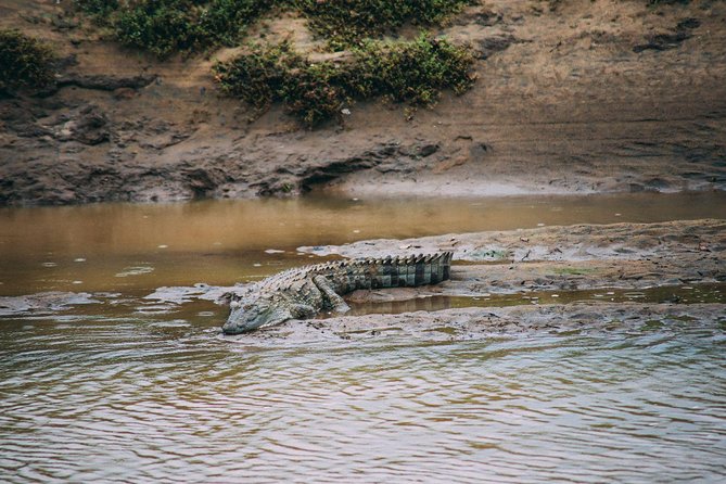 Yala Full Day Safari with Picnic Lunch - Private & All Inclusive - Weather, cancellation, and timing risks