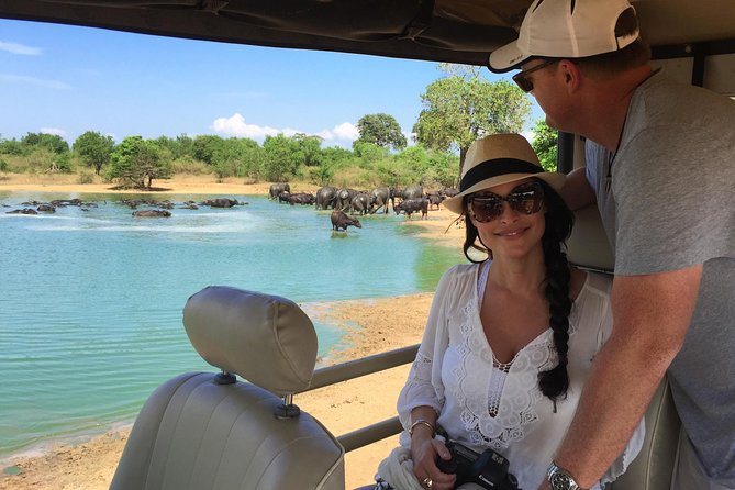 Yala Full Day Safari with Picnic Lunch - Private & All Inclusive - Entering Yala National Park