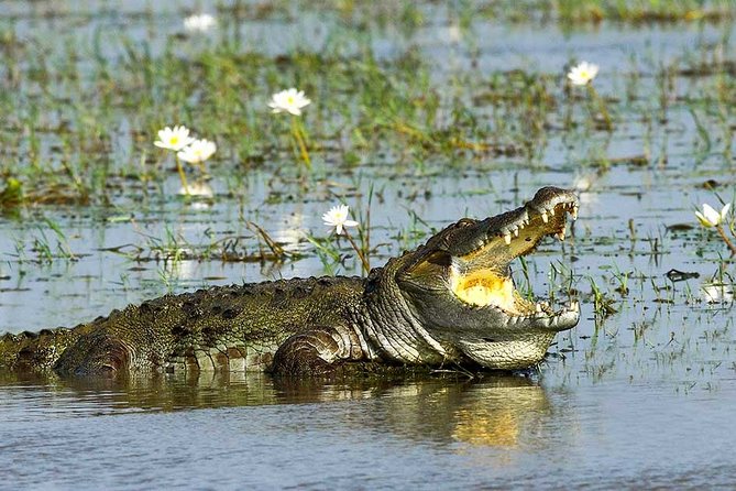 Yala National Park Full-Day Jeep Safari with Lunch - Leaving Colombo in an air-conditioned vehicle