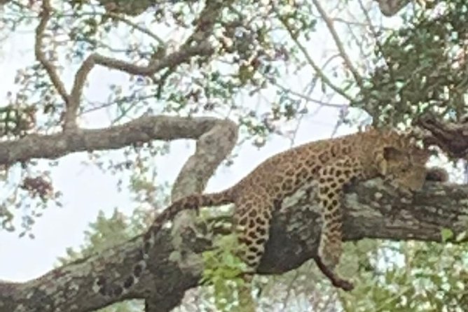 Yala National Park Full-Day Jeep Safari with Lunch - Arriving at Yala National Park