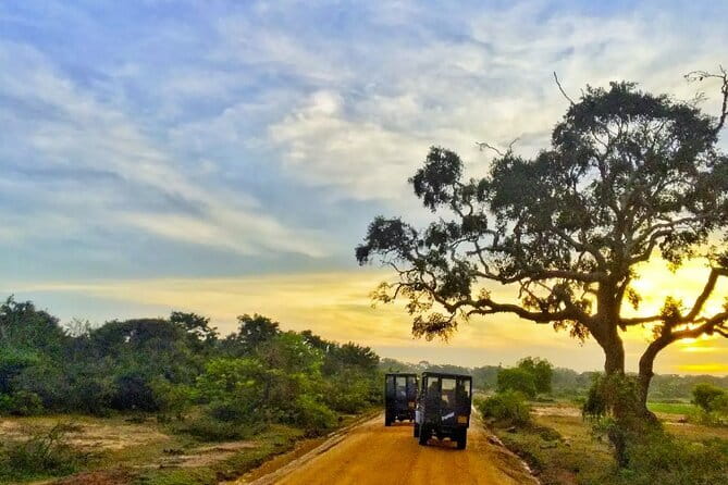 Yala National Park Private Jeep Safari From Colombo & Negombo - The real cost of reaching Yala from Colombo