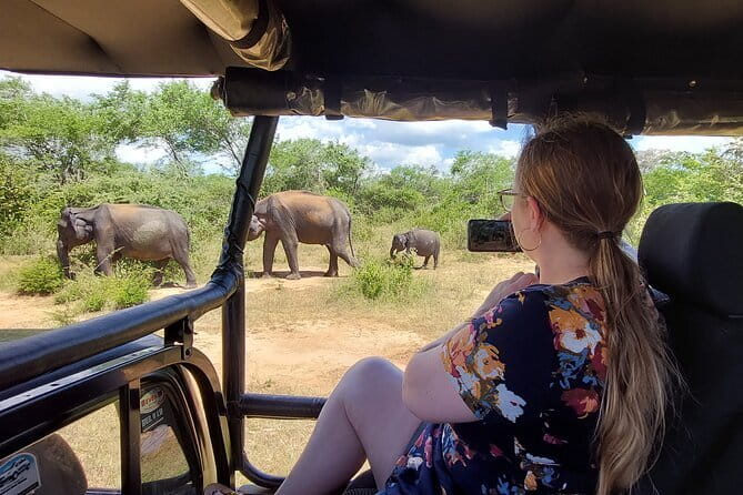 Yala National Park Private Jeep Safari From Colombo & Negombo - Lunch, king coconut, and useful comforts