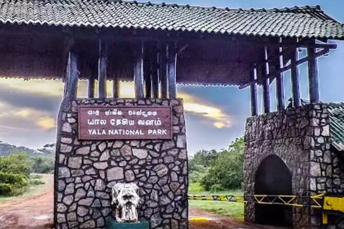 Yala National Park Private Jeep Safari From Colombo & Negombo - Is $250 per person good value?