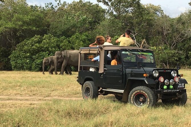 Yala National Park Private Jeep Safari From Colombo & Negombo - Who should book this Yala safari?