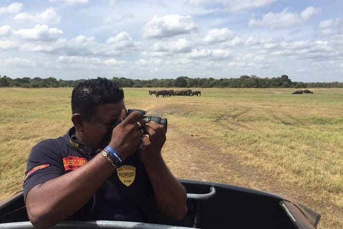 Yala National Park Private Jeep Safari From Colombo & Negombo - Should you book it?