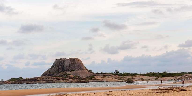 Yala Safari All-Inclusive Package with Convenient Pick Up - The long road to the park